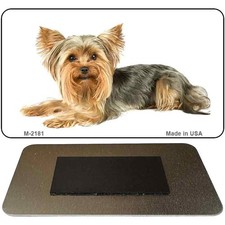 York Shire Terrier Novelty