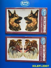 pastore tedesco pastore