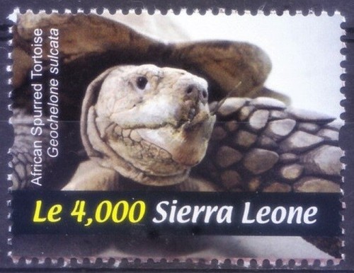Sierra leone 2011 mnh african - sierra,