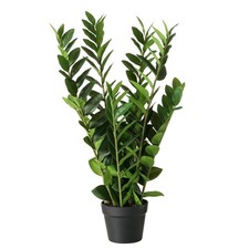 Kunstpflanze Zamioculcas in
