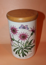 Portmeirion - Giardino