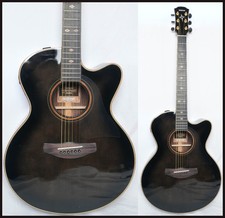 Chitarra acustica elettrica