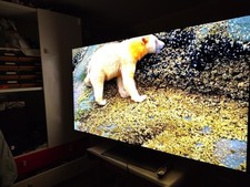 Lg G4 Evo 65 Difettata