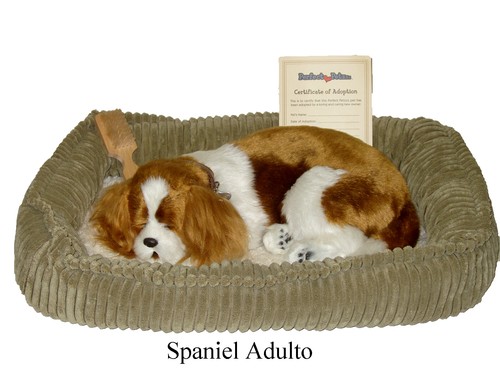 Perfect petzzz spaniel - perfect,