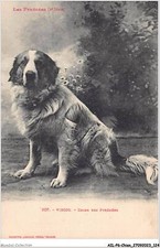 AILP6-0573 - CANE - Viscos -