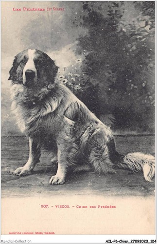 Ailp6 0573 cane viscos - -,