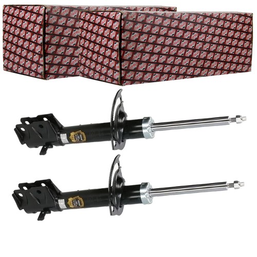 Ashika ammortizzatori gas - 2x,