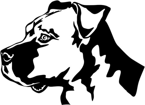 Adesivo american staffordshire - american,