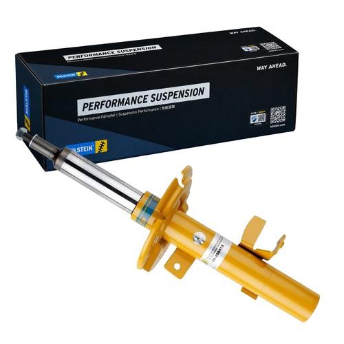 Ammortizzatore pressione gas