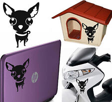 CHIHUAHUA, pegatina de vinilo premium