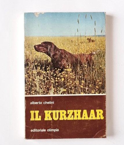 Caccia cani il kurzhaar - caccia, di