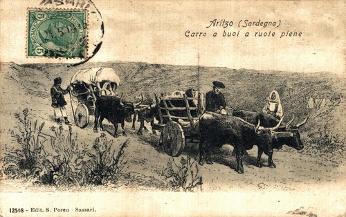 Aritzo nuoro carro - carro, a