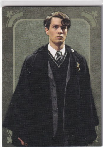 Panini harry potter evolution - panini,