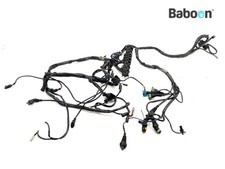 Cablaggio Moto Guzzi