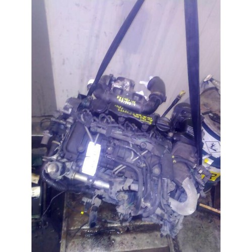Motore compl g8da ford focus - ford,