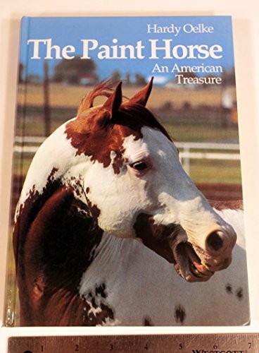 The paint horse american - an,