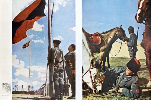 1943 germania corpo volontario - germania,