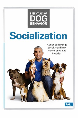 Essentials dog behavior - of,