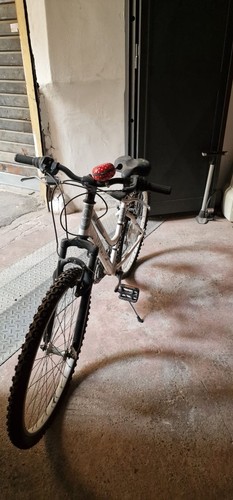 Bici olmo - olmo,