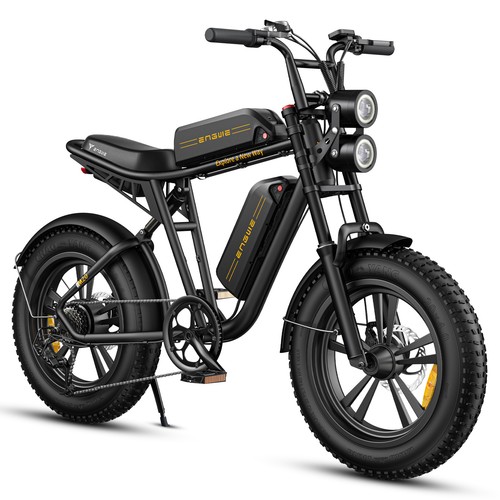 Fat tire bici - tire,