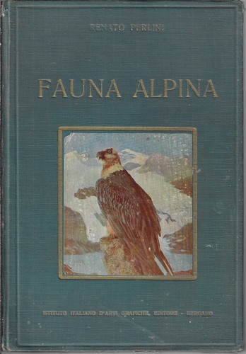 Perlini renato fauna - perlini,