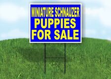 Miniature Schnauzer PUPPIES