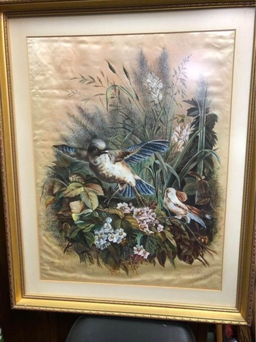 Raro molto bello quadro - raro, olio