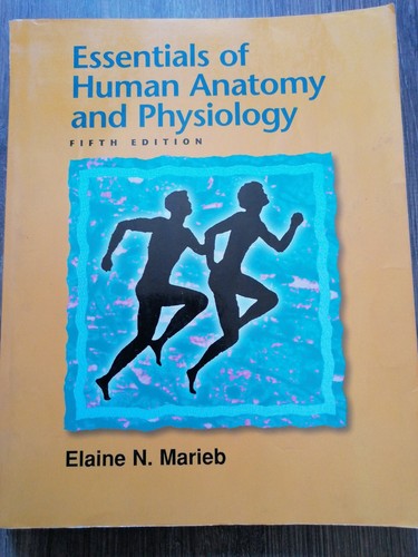 Essentials human anatomy - of, &