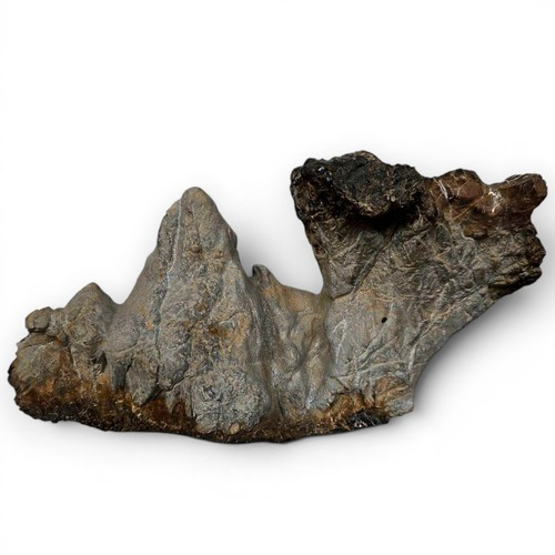 Suiseki pietra naturale - pietra,