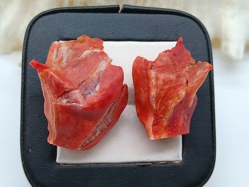 Lotto pezzi corallo - corallo, rosso