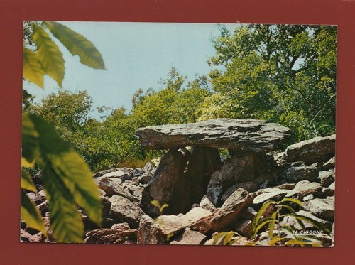 Anduze les dolmens - dolmens, (l1373)