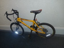 Bicicletta da corsa Viking