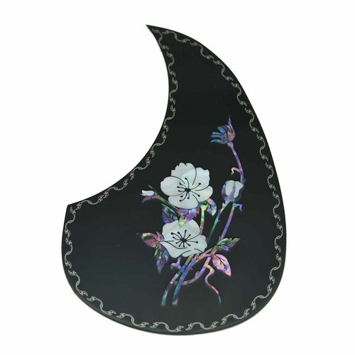 Nuovo pickguard acustico - nuovo,