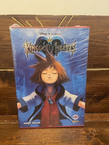 Kingdom hearts silver - kingdom,