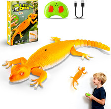 Lucertola Robot Arrampicante