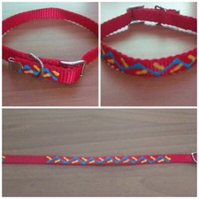 COLLARE COLLARINO  GATTO O CANE PICCOLA TAGLIA MISURA CM 25-30 TAGLIA M