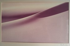 ALLAN BRUCE ZEE GRANDE STAMPA