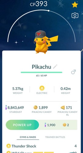 Pokemon shiny valor hat - valor,