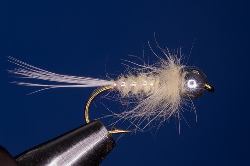 Fliegentom pezzi ninfa crema - fliegentom,