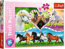 , Puzzle, Cavalli Bellissimi