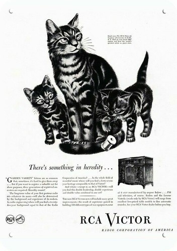 1945 rca radio mamma gatto - mamma, &