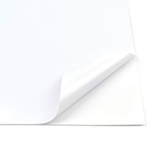 Evergreen Goods - 10 fogli