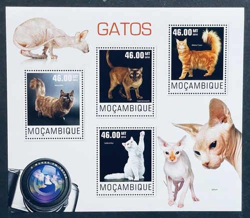 Mozambico gatti francobolli - gatti,