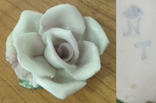 Fiore rosa rosellina colore - fiore,