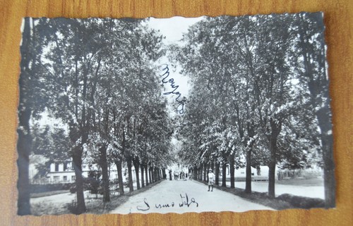 Cartolina corneliano viale - cartolina,