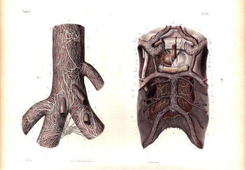 Antica litografia 1869 - , borgery