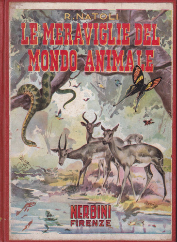 Mn3 meraviglie del - meraviglie, mondo
