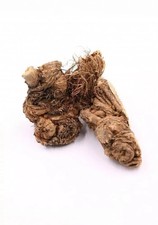 Ferula hermonis (Viagra) pesi