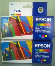 2 Cartucce Epson T037