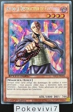 Carte YU-GI-OH! KYCOO LE
